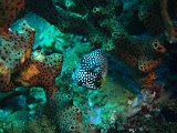 Curacao 04-12 288